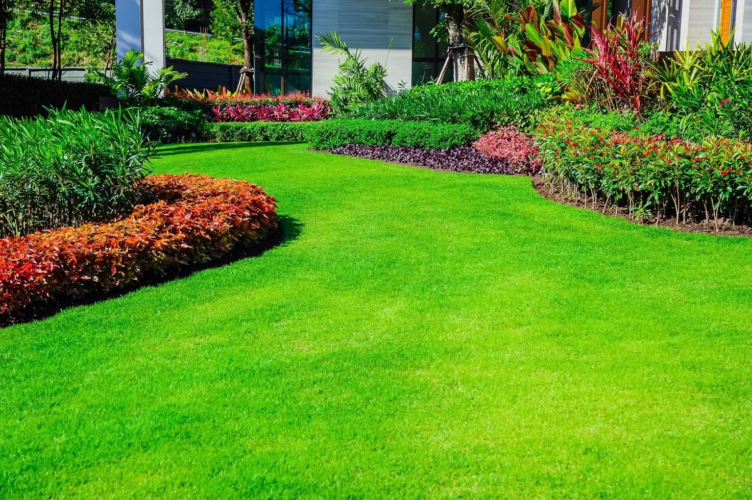 Lawn Maintenance